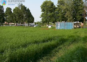 Foto 1 - Agricultural land Treviso - photo 1