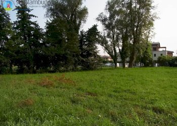 Foto 2 - Agricultural land Treviso - photo 2