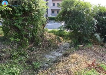 Foto 5 - Agricultural land Treviso - photo 5