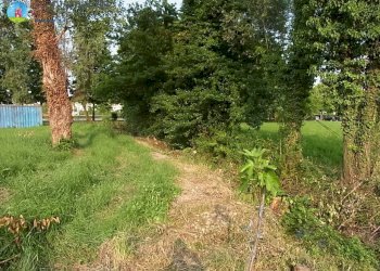 Foto 6 - Agricultural land Treviso - photo 6