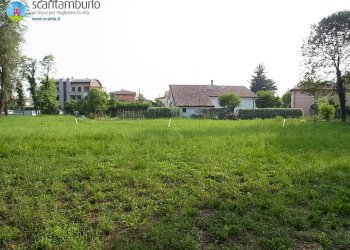 Foto 9 - Agricultural land Treviso - photo 9