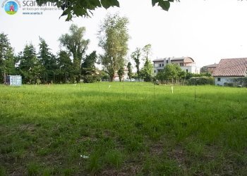 Foto 11 - Agricultural land Treviso - photo 11