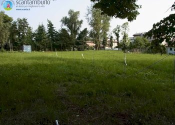 Foto 12 - Agricultural land Treviso - photo 12