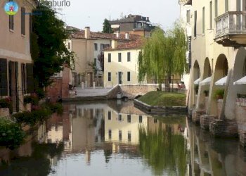 Foto 4 - Casa indipendente Treviso - foto 4