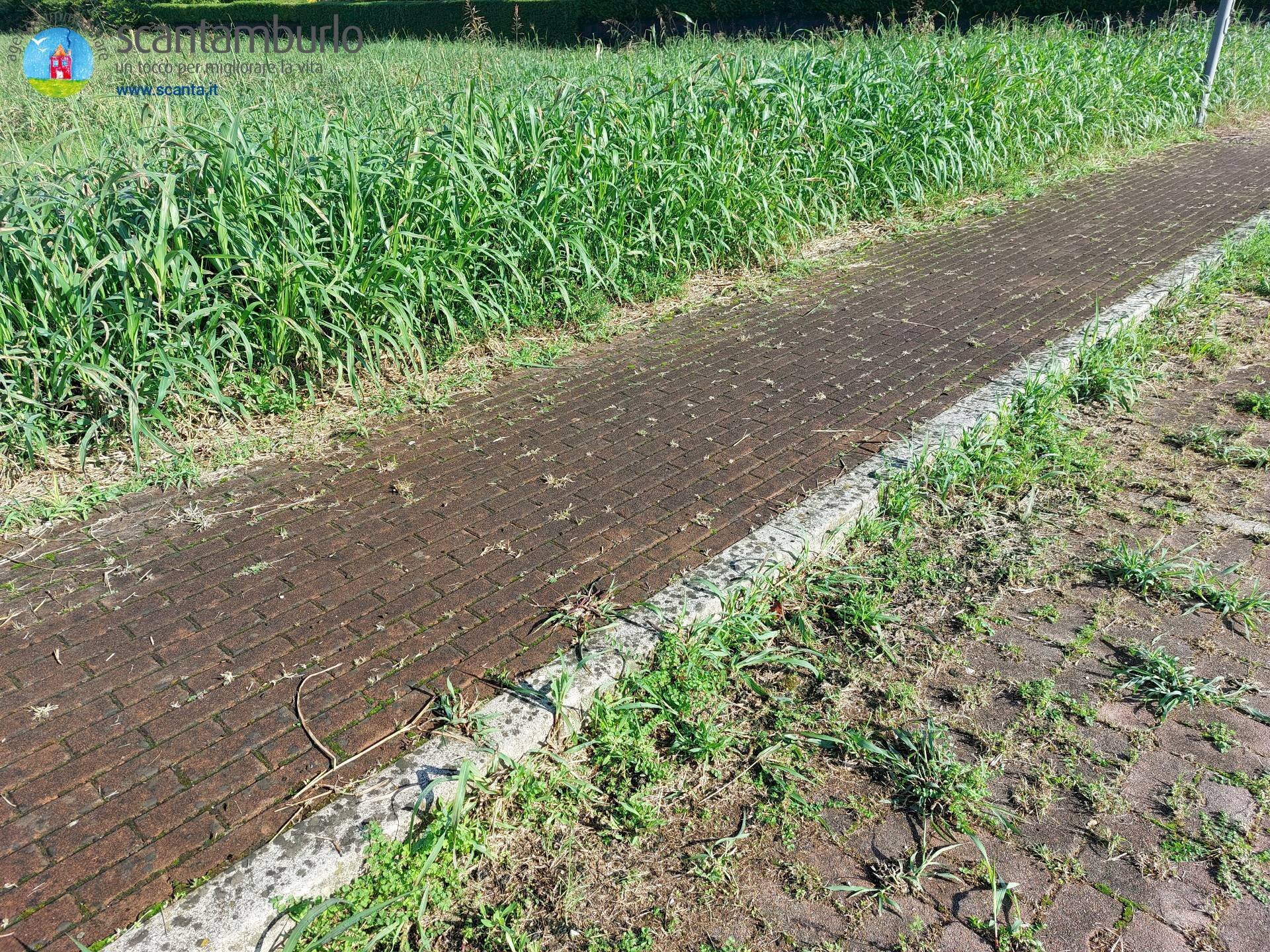 Foto 3 - Terreno edificabile Ponzano Veneto - foto 3