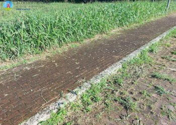 Foto 3 - Terreno edificabile Ponzano Veneto - foto 3