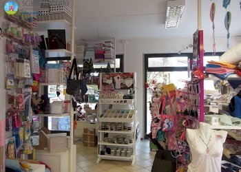 Foto 1 - Attività Commerciale Treviso - foto 1