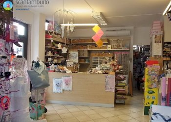 Foto 5 - Attività Commerciale Treviso - foto 5