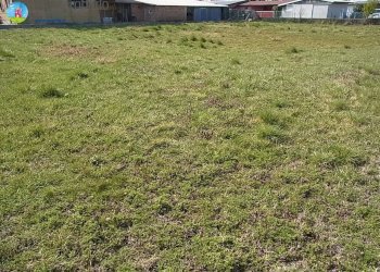 Foto 2 - Terreno edificabile Carbonera - foto 2