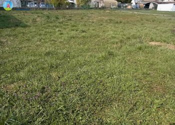 Foto 3 - Terreno edificabile Carbonera - foto 3