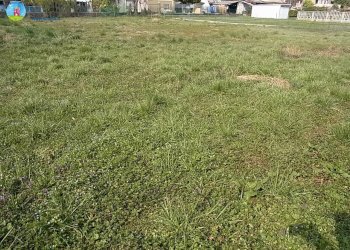 Foto 5 - Terreno edificabile Carbonera - foto 5