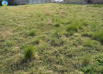 Foto 7 - Terreno edificabile Carbonera - foto 7