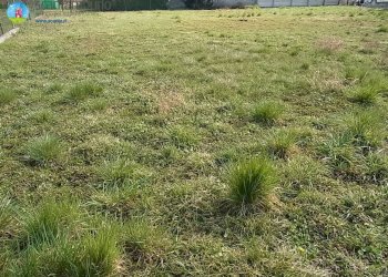 Foto 8 - Terreno edificabile Carbonera - foto 8