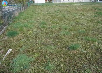 Foto 9 - Terreno edificabile Carbonera - foto 9