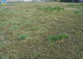 Foto 10 - Terreno edificabile Carbonera - foto 10