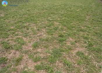 Foto 1 - Terreno edificabile Paese - foto 1