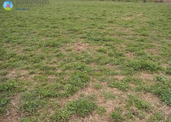 Foto 4 - Terreno edificabile Paese - foto 4