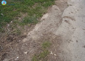 Foto 6 - Terreno edificabile Paese - foto 6