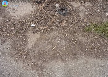 Foto 7 - Terreno edificabile Paese - foto 7