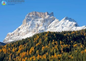 Foto 19 - Casa indipendente Borca di Cadore - foto 19