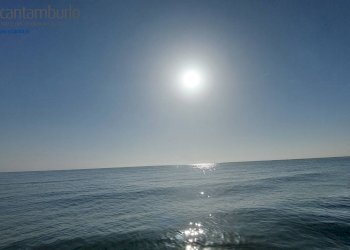 Foto 1 - Terreno agricolo Cavallino-Treporti - foto 1