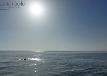 Foto 6 - Terreno agricolo Cavallino-Treporti - foto 6