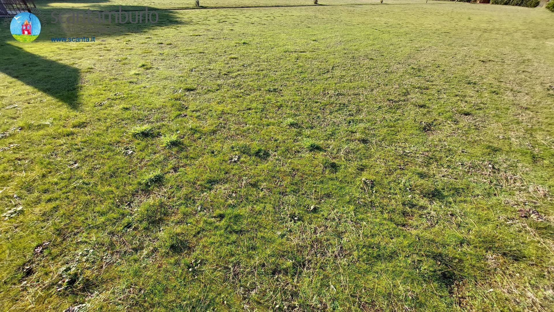 Foto 3 - Terreno edificabile Cavallino-Treporti - foto 3