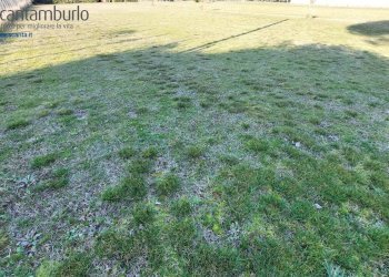 Foto 1 - Terreno edificabile Cavallino-Treporti - foto 1