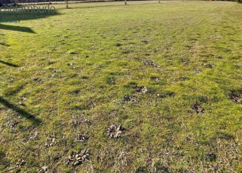 Foto 2 - Terreno edificabile Cavallino-Treporti - foto 2