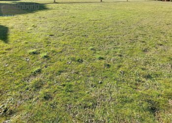 Foto 3 - Terreno edificabile Cavallino-Treporti - foto 3