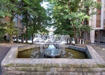 Foto 5 - Negozio Treviso - foto 5