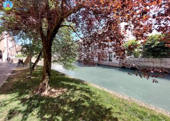 Foto 9 - Casa indipendente Treviso - foto 9