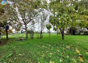 Foto 10 - Independent house Ponzano Veneto - photo 5