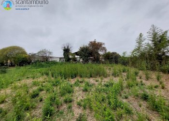 Foto 11 - Independent house Ponzano Veneto - photo 6