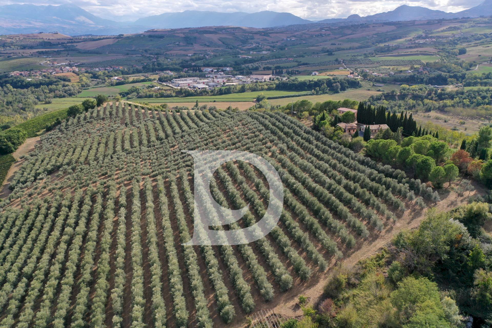 Foto 1 - Agriturismo Contrada Fiorano, Loreto Aprutino - foto 1