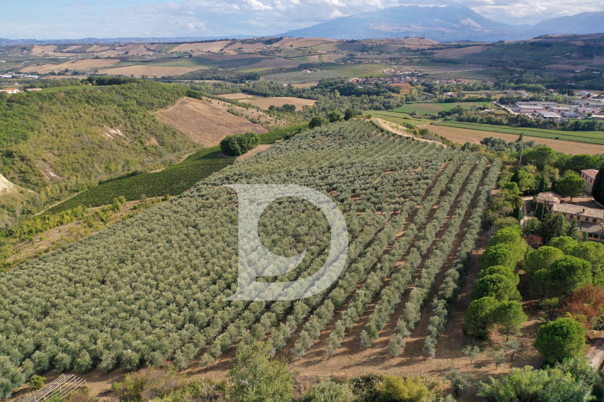 Foto 2 - Agriturismo Contrada Fiorano, Loreto Aprutino - foto 2