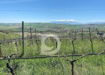 Foto 37 - Agriturismo Contrada Fiorano, Loreto Aprutino - foto 37