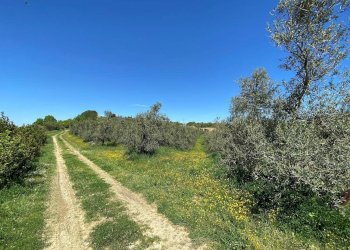 Foto 60 - Agriturismo Contrada Fiorano, Loreto Aprutino - foto 60