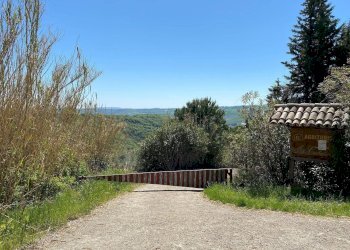 Foto 63 - Agriturismo Contrada Fiorano, Loreto Aprutino - foto 63