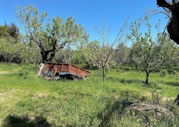 Foto 69 - Agriturismo Contrada Fiorano, Loreto Aprutino - foto 69