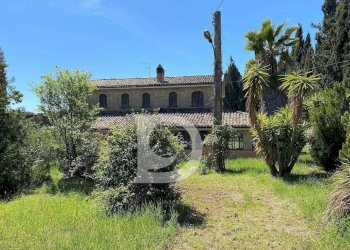 Foto 73 - Agriturismo Contrada Fiorano, Loreto Aprutino - foto 73