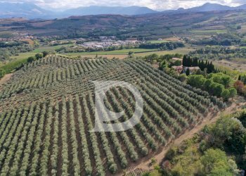 Foto 1 - Agriturismo Contrada Fiorano, Loreto Aprutino - foto 1