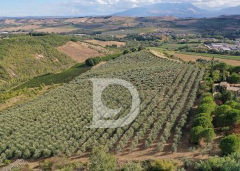 Foto 2 - Agriturismo Contrada Fiorano, Loreto Aprutino - foto 2