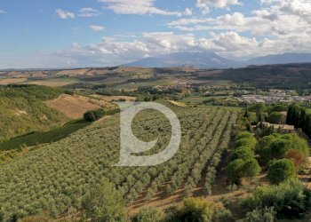 Foto 3 - Agriturismo Contrada Fiorano, Loreto Aprutino - foto 3