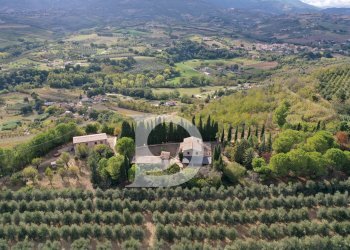 Foto 4 - Agriturismo Contrada Fiorano, Loreto Aprutino - foto 4