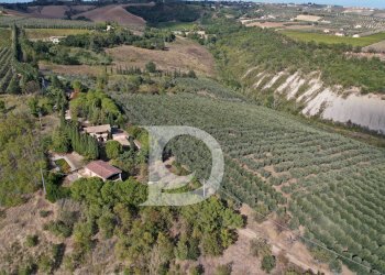 Foto 7 - Agriturismo Contrada Fiorano, Loreto Aprutino - foto 7