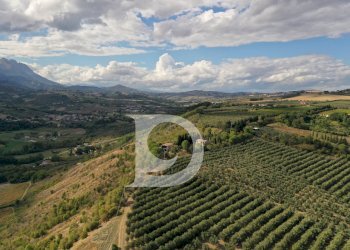 Foto 9 - Agriturismo Contrada Fiorano, Loreto Aprutino - foto 9