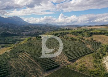 Foto 10 - Agriturismo Contrada Fiorano, Loreto Aprutino - foto 10