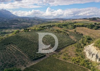 Foto 11 - Agriturismo Contrada Fiorano, Loreto Aprutino - foto 11