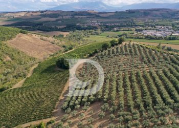 Foto 13 - Agriturismo Contrada Fiorano, Loreto Aprutino - foto 13